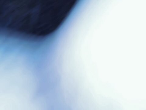 A desperate student, facing exam pressure, made a bold endanger with a solitary strategy to secure top grades.